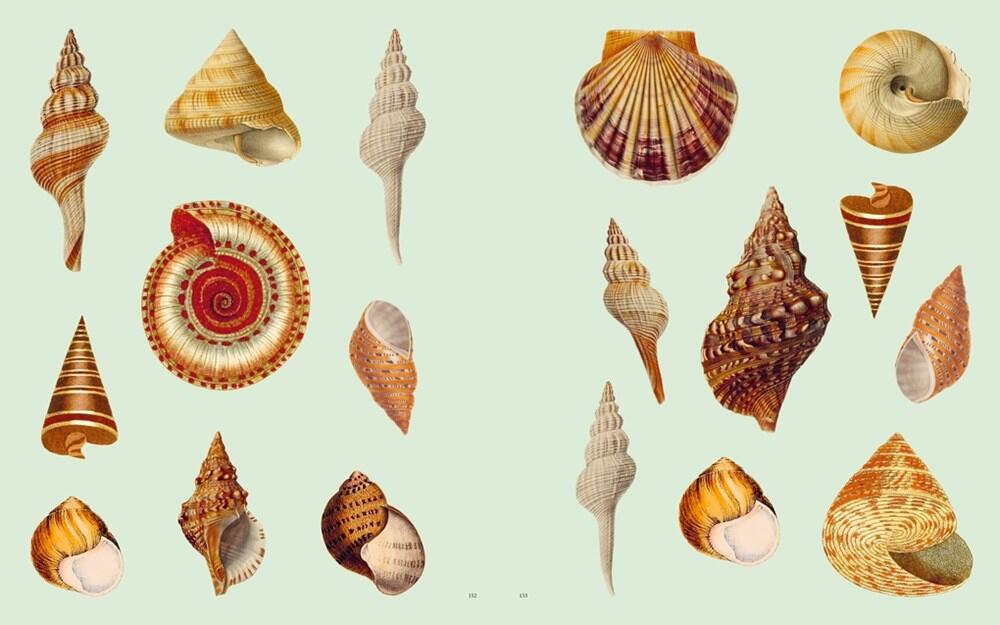 Extraordinary Things klistermærkebog